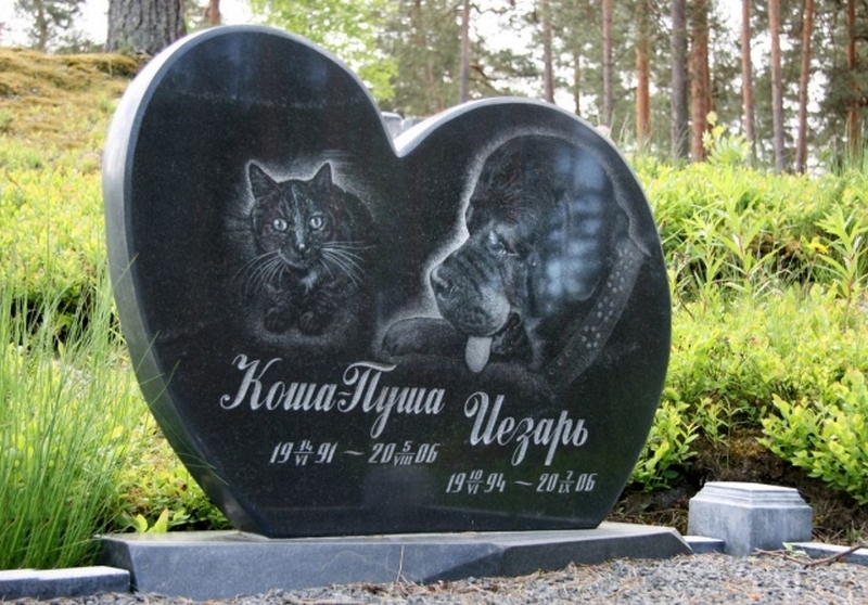 Похоронить животное на кладбище в г. Ступино Московской области